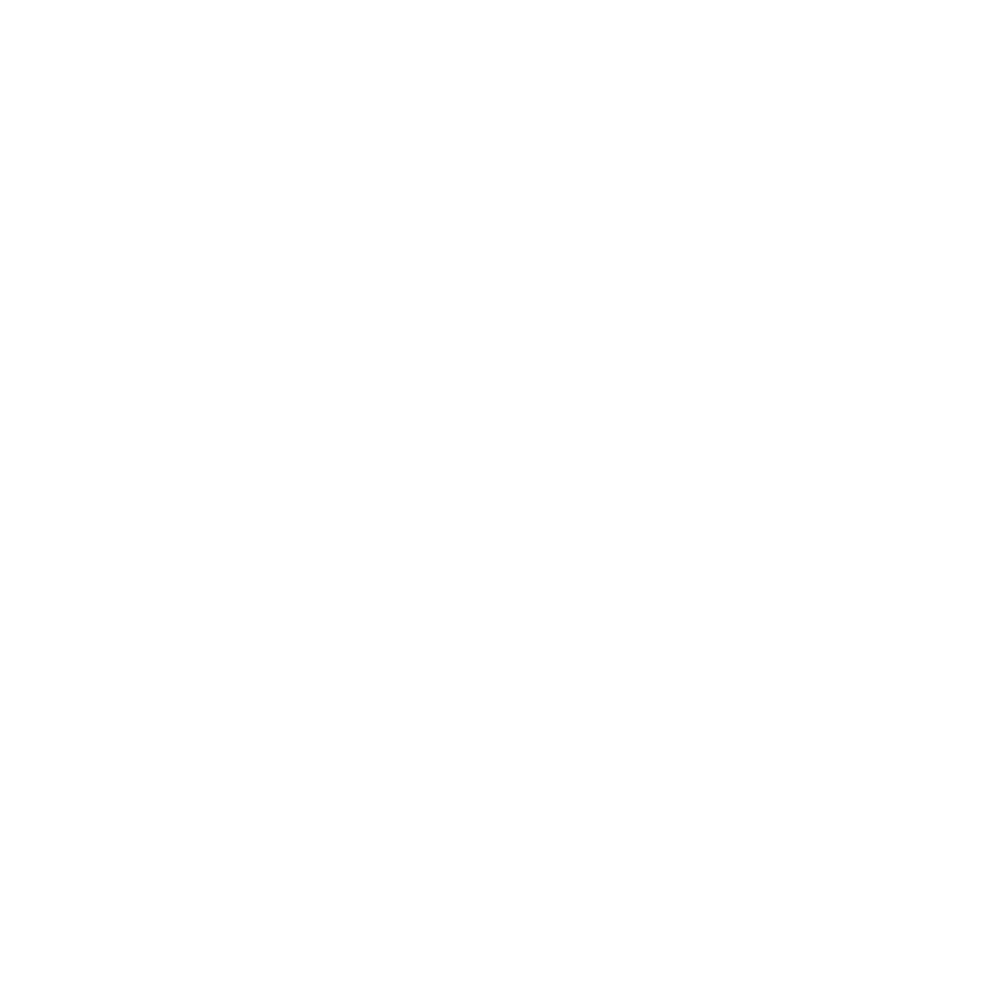Ludium